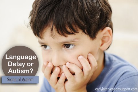 Language Delay or Autism?
