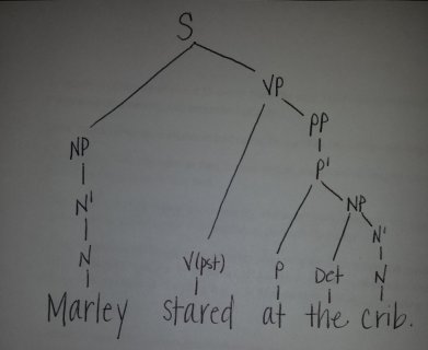 Marley s Big Adventure Tree