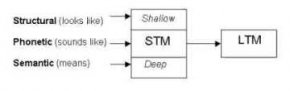 levels of processing memory model