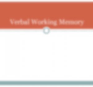 Visual semantics working memory