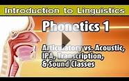 [Introduction to Linguistics] Phonetics and Basics of